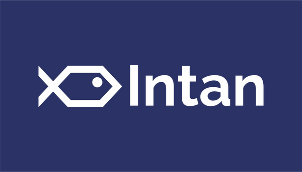 Intan