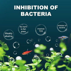 Aquatic Remedies Chlor Away