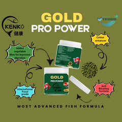 KENKO Gold Pro Power Fish Food - 90 g | Advanced Formula for Goldfish | Nutrient-Rich Floating Pellets with Spirulina and Seaweed | Balanced Diet to Support Color, Growth & Daily Feeding Routine