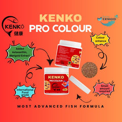 KENKO Pro Colour Fish Food – 150g | Advanced Formula for Goldfish and Cichlids | Color-Enhancing Pellets with Spirulina and Natural Additives | Supports Growth, Vitality & Tank Cleanliness