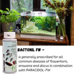 AQUATIC REMEDIES BACTONIL