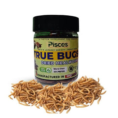 Pisces True Bugs – Dried Mealworms