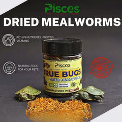 Pisces True Bugs – Dried Mealworms
