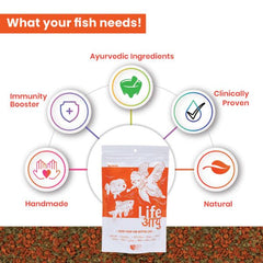 LIFE AAYUH GOLDFISH FOOD (AYUH)