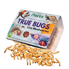 Pisces True Bugs – Live Mealworms