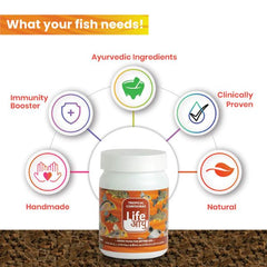 Life Aayuh Tropical Corydoras Food 45g