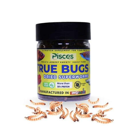 Pisces True Bugs – Dried Superworms
