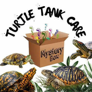 Mystery Box - Turtle Care