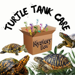 Mystery Box - Turtle Care