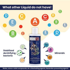 Sunken Garden Amazon Water Conditioner