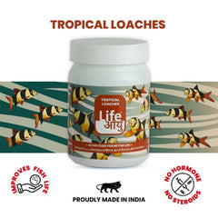 Life Aayu Tropical Loaches Fish Food 45gm