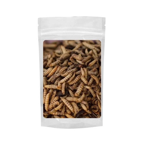 Black Soldier Fly Larvae (BSFL) 100g