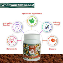 Life Aayu Tropical Loaches Fish Food 45gm