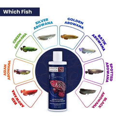 Sunken Garden Arowana Water Conditioner