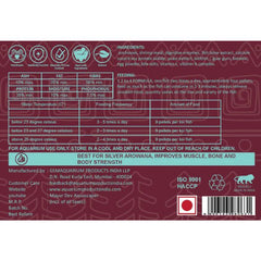 Life Aayu Silver Arowana Food