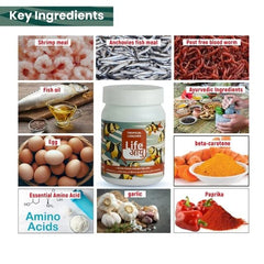 Life Aayu Tropical Loaches Fish Food 45gm