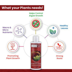 Sunken Garden Vibrance Fertilizer 200ml+30ml