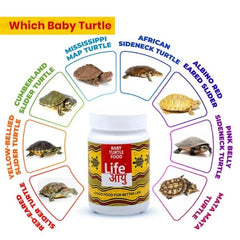 Life AAYU Baby Turtle Food – Ayurvedic Handmade Pellets for Shell Growth, Calcium & Vitality | For 2”–4” Baby Turtles (70g)