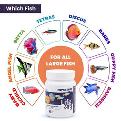 Life AAYU Tropical Treats Fish Food – Ayurvedic Immunity Boost Pellets for Tropical Fish (70g)