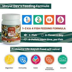 Life Aayu Tropical Loaches Fish Food 45gm