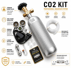 Complete Co2 Kit - 4 litre