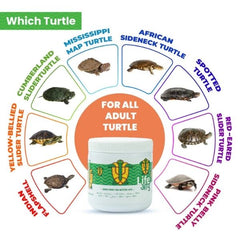 Life AAYU Adult Turtle Food – Spirulina & Calcium Enriched Ayurvedic Diet for Strong Shell, Gut Health & Digestion
