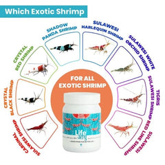Life Aayu Shrimp Exotic Food - Best Growth & Breeding