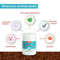 Life Aayu Shrimp Exotic Food - Best Growth & Breeding