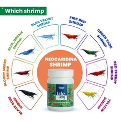 Life Aayu Shrimp Regular Food