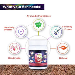 Life AAYU Glow Fish Food – Natural Color Enhancer with Spirulina, Paprika & Beta Carotene | Digestion-Friendly Floating Pellets (63g)