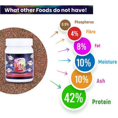 Life AAYU Glow Fish Food – Natural Color Enhancer with Spirulina, Paprika & Beta Carotene | Digestion-Friendly Floating Pellets (63g)