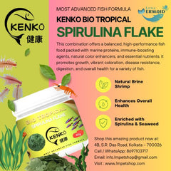 KENKO Bio Tropical Spirulina Flake - 40g | Advanced Formula Flake Food with Spirulina for All Kinds of Cichlids, Tetras, and Marine Fish | High Protein, Natural Color Enhancer, Clean Water Formula