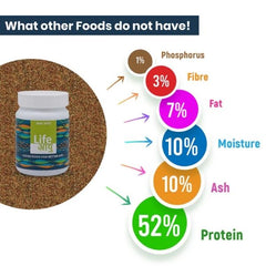 Life AAYU Baby Bites – Superfood for Fry & Baby Fish Growth 30g