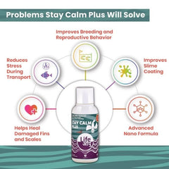 Life Aayu Stay Calm Plus