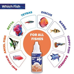 Life Aayu Api NUTROFIT PLUS