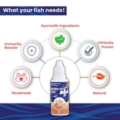 Life Aayu Api NUTROFIT PLUS