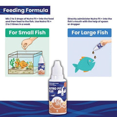 Life Aayu Api NUTROFIT PLUS