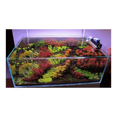 The 2hr Aquarist APT Pure Water Conditioner 300ml