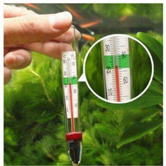 Thermometer with suction cup for aquarium fish tank