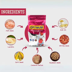 Optimum Fish Food