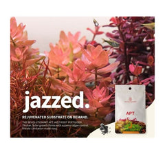 2Hr Aquarist APT Jazz