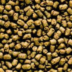 Saki Hikari Marine Carnivore 40g M