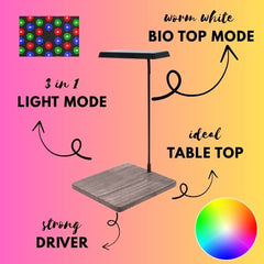 Light Set with wooden base