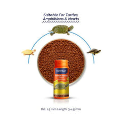 Intan Turtle Sticks Small