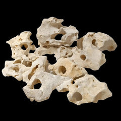 White Texas Hole Rock