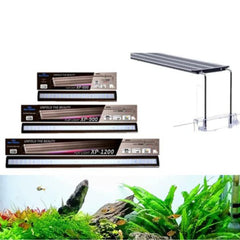 Neo-Helios XP Series