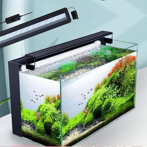 Blue Pet LED Bracket Light BR Series