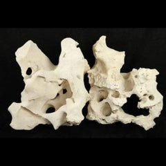 White Texas Hole Rock