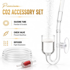 Complete Co2 Kit - 4 litre