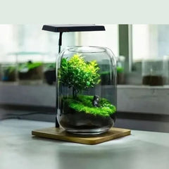 Light Set with wooden base